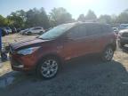 2016 FORD ESCAPE TIT - 1FMCU9J99GUA01634
