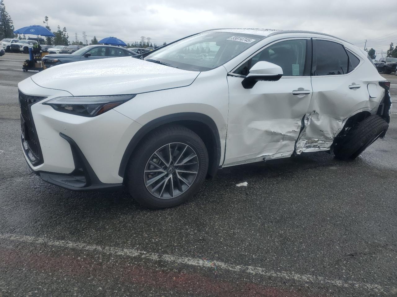 LEXUS NX 350H BASE