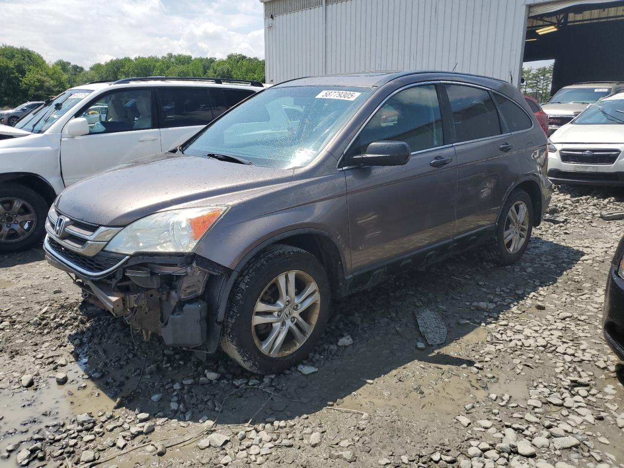HONDA CR-V EX