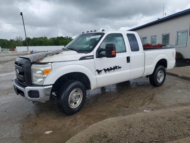 Vin: 1ft7x2b66bed04561, lot: 55486585, ford f250 super duty 2011 img_1