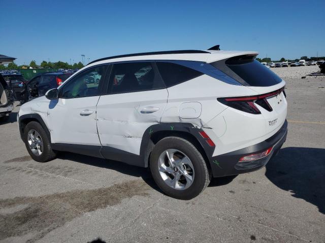 2023 HYUNDAI TUCSON SEL 5NMJBCAE0PH200929