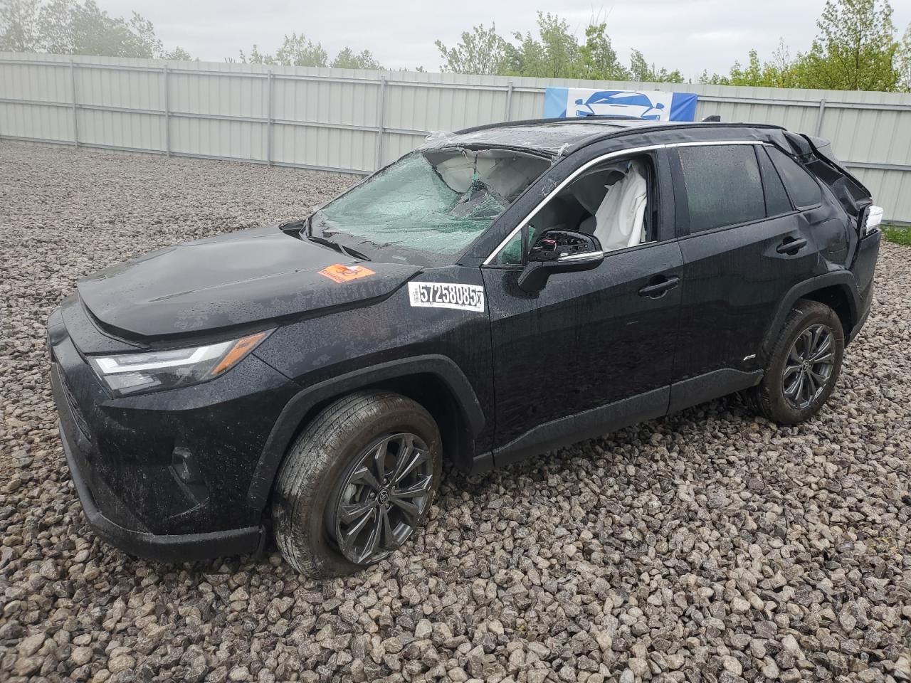 TOYOTA RAV4 XLE PREMIUM