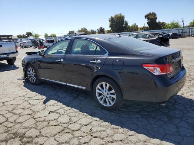 LEXUS ES 350 2010 black  gas JTHBK1EG9A2388722 photo #3