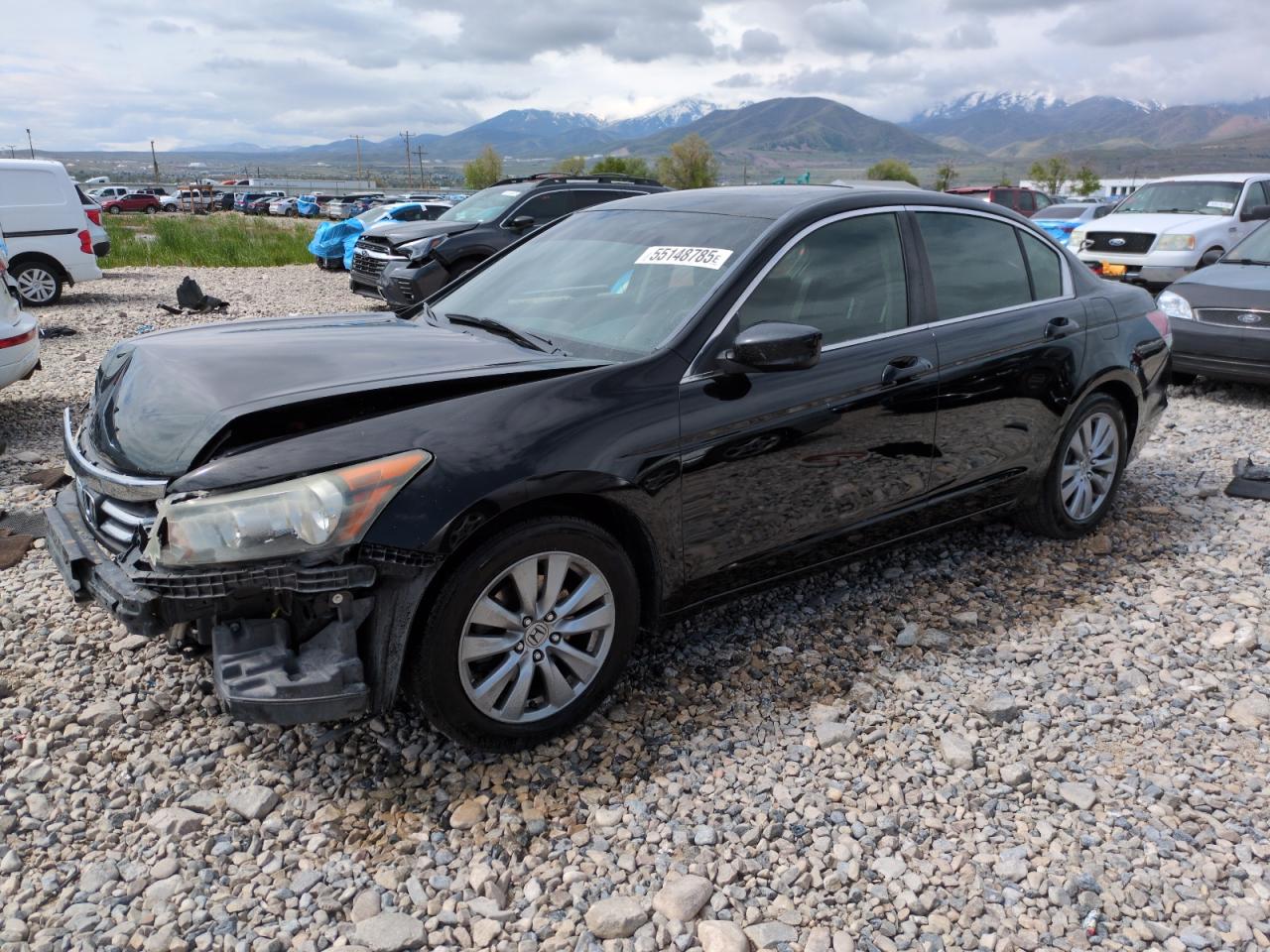 HONDA ACCORD EX
