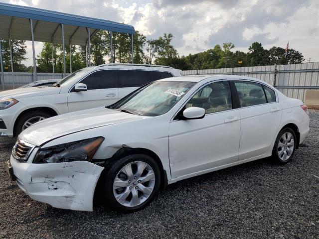 Vin: 1hgcp2f89aa058168, lot: 57432545, honda accord exl 2010 img_1