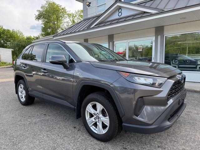 Vin: 2t3mwrfv5kw035008, lot: 59044105, toyota rav4 le 2019 img_1