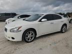 Top Destinations for Shipping Cars from the USA