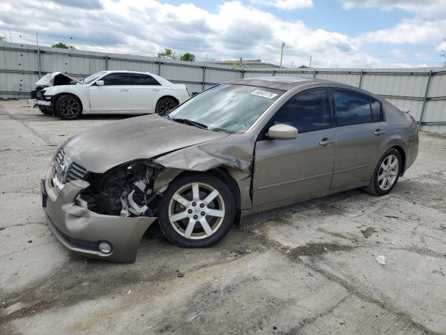 NISSAN MAXIMA SE