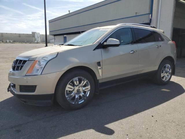 CADILLAC SRX LUXURY 2011 tan  gas 3GYFNAEY5BS550543 photo #1