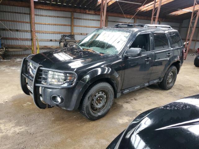 Vin: 1fmcu9egxbkb49322, lot: 58182475, ford escape limited 2011 img_1