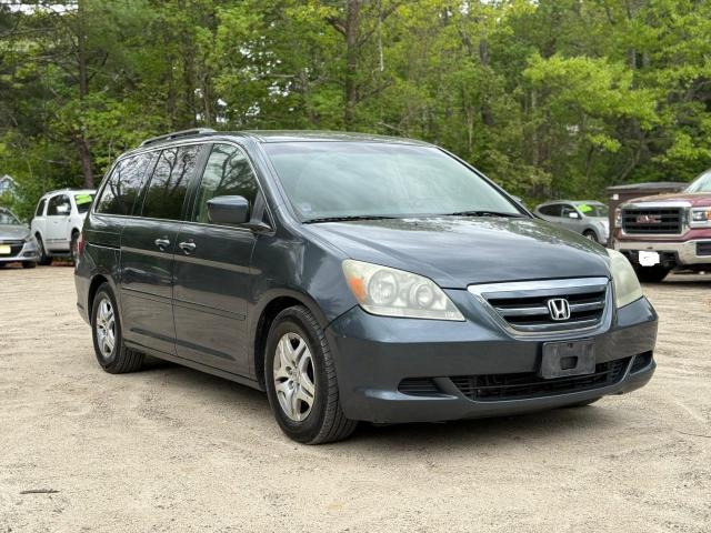 HONDA ODYSSEY EX 2005 gray sports v gas 5FNRL38445B081603 photo #1