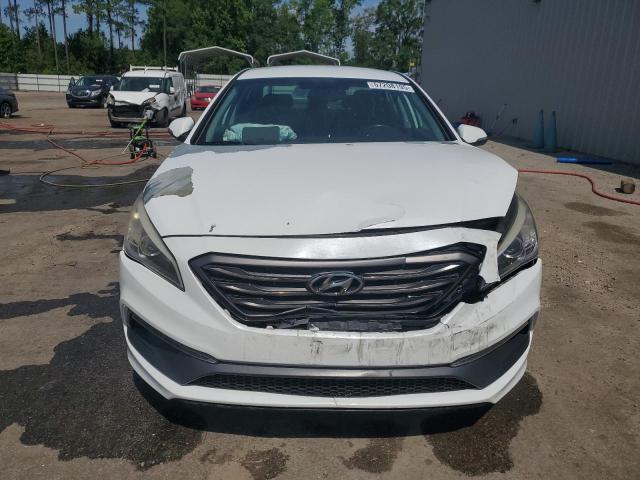 2016 HYUNDAI SONATA SPO - 5NPE34AF0GH300299