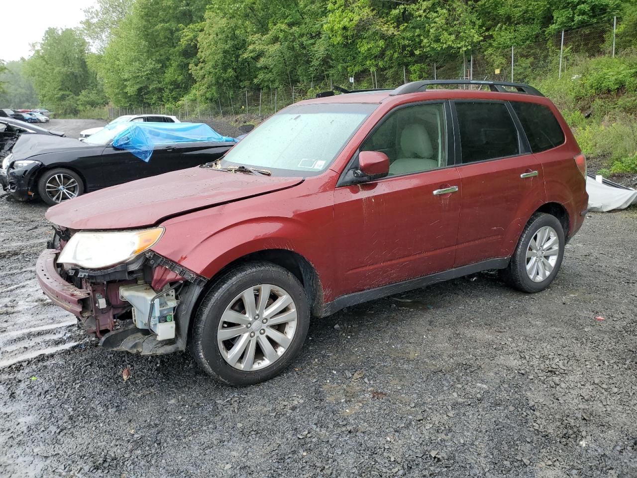  Salvage Subaru Forester