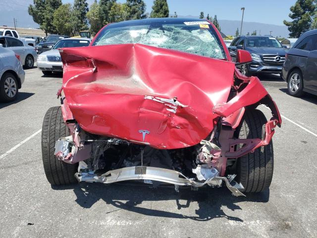 2023 TESLA MODEL Y 7SAYGDEE2PF946576