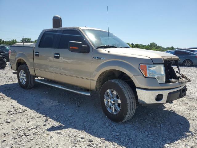 Vin: 1ftfw1ef6dfb95424, lot: 57945865, ford f-150 supercrew 20134