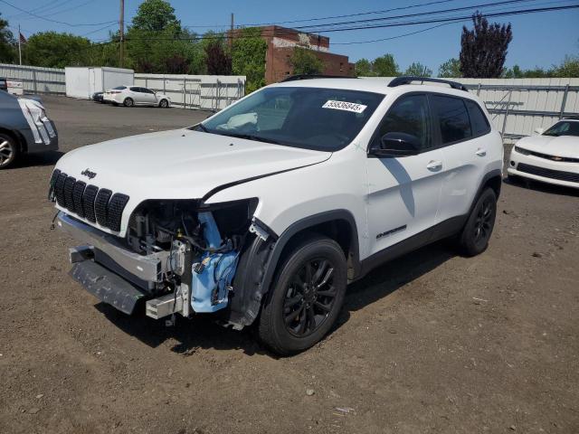 2023 JEEP CHEROKEE A 1C4PJMMB0PD110208
