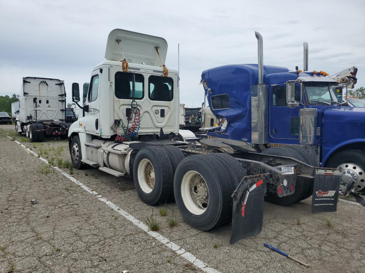 Lot #3290225225 2012 FREIGHTLINER CASCADIA 1