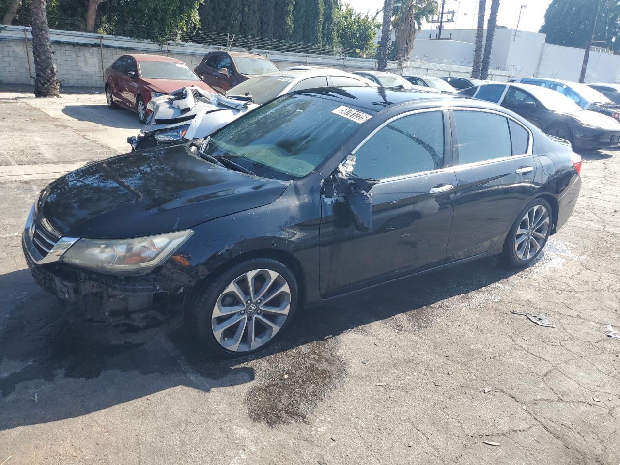 Lot #3308229203 2014 HONDA ACCORD SPO