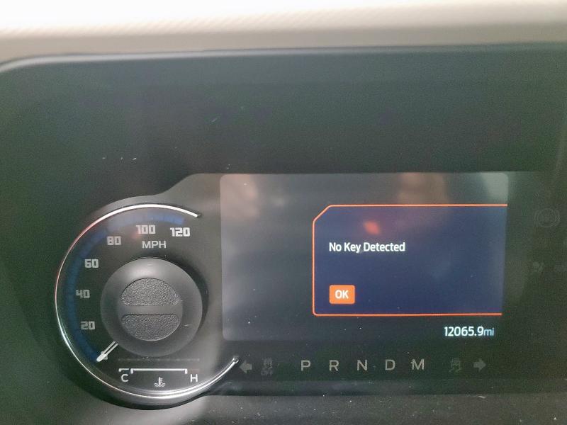 2024 FORD BRONCO WIL 1FMEE2BP4RLA19493