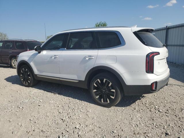 2023 KIA TELLURIDE - 5XYP5DGC4PG407105