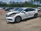 2016 HYUNDAI SONATA SPO - 5NPE34AF0GH300299
