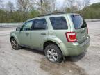 Lot #3301747368 2008 FORD ESCAPE