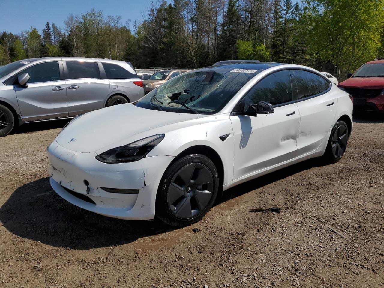 TESLA MODEL 3