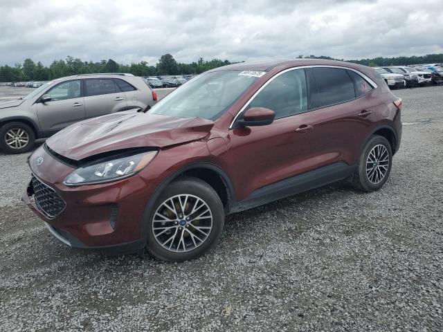 Vin: 1fmcu0ezxmub22013, lot: 58973575, ford escape se 2021 img_1