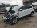 2019 FORD ESCAPE SE - 1FMCU9G95KUC08571