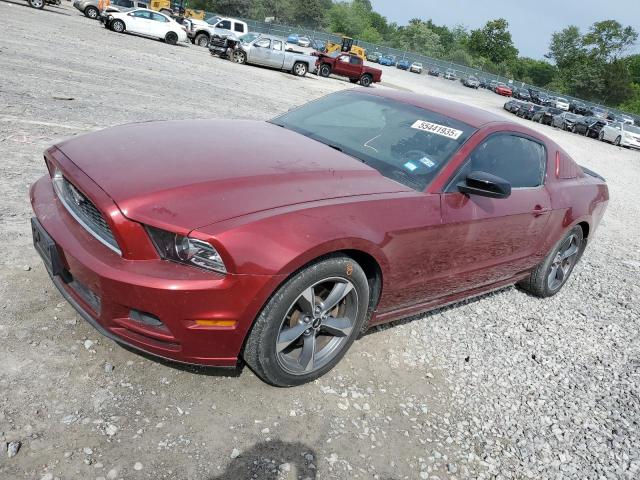 Vin: 1zvbp8am0e5228768, lot: 55441935, ford all models 2014 img_1