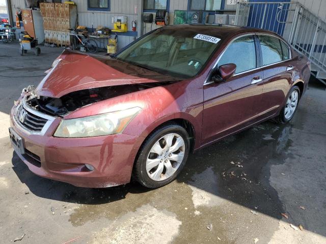 HONDA ACCORD EXL