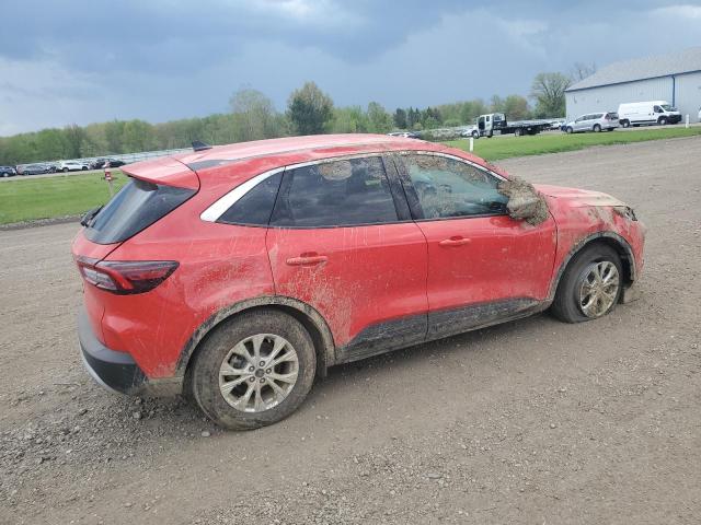 Vin: 1fmcu0gn0rub56964, lot: 55560375, ford escape act active 20243
