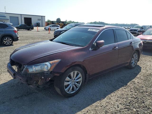 Vin: 1hgcp2f82ba127591, lot: 56367745, honda accord exl 2011 img_1