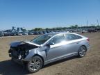 2016 HYUNDAI SONATA SE - 5NPE24AF5GH299640