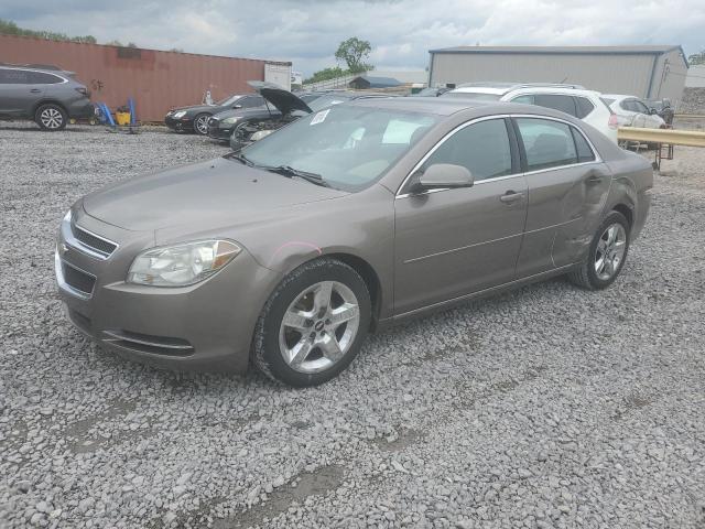 Vin: 1g1zc5e0xaf244119, lot: 55989885, chevrolet malibu 1lt 2010 img_1