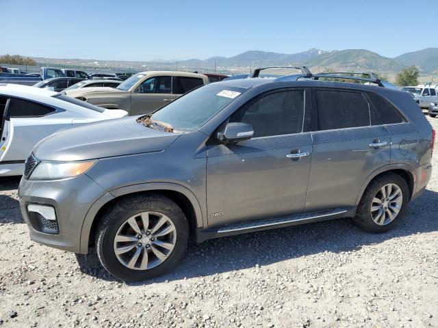 Vin: 5xykwda24dg333686, lot: 59047265, kia sorento sx 2013 img_1