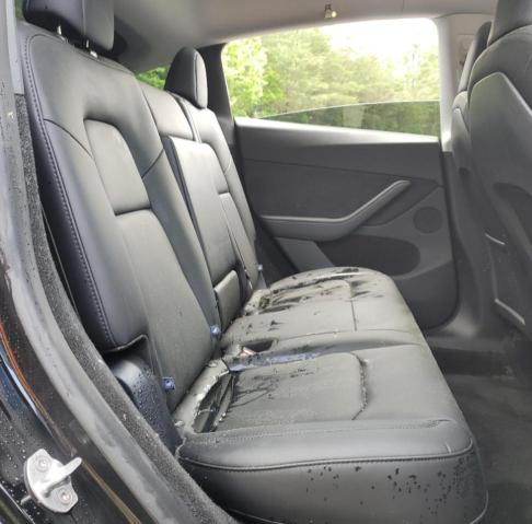 2025 TESLA MODEL Y 7SAYGDED3SA372244
