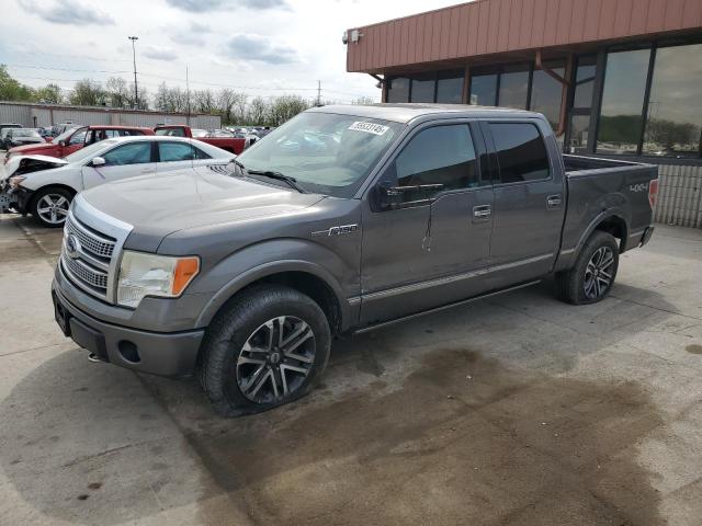 Vin: 1ftfw1ev1afb92899, lot: 55533145, ford f-150 supercrew 2010 img_1