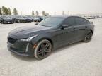 Top Destinations for Shipping Cars from the USA