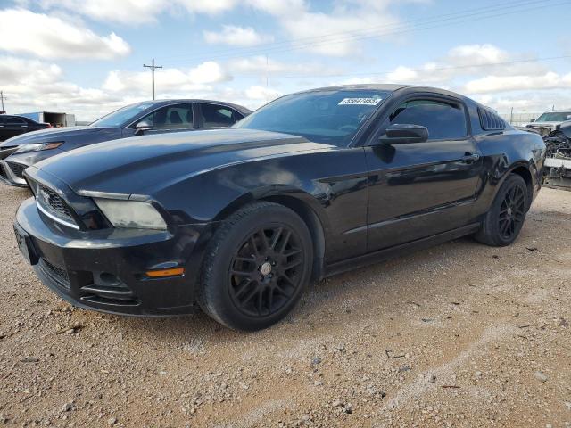 Vin: 1zvbp8am3e5304077, lot: 55647465, ford all models 2014 img_1