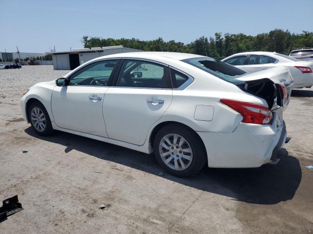 2017 NISSAN ALTIMA 2.5 - 1N4AL3AP5HN343304
