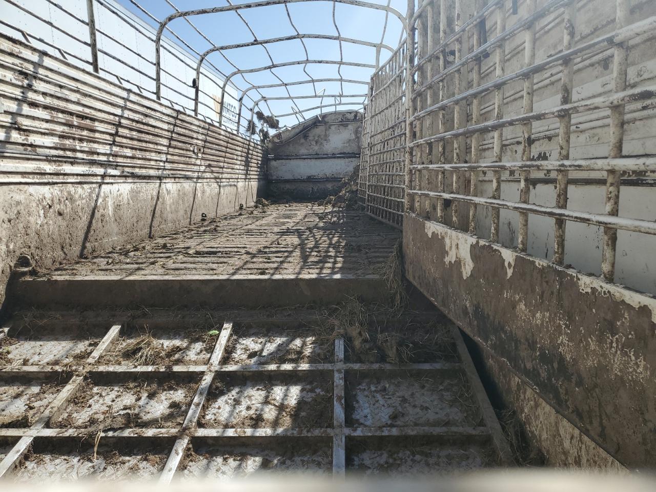 Lot #3216325144 2011 NECKOVER LIVESAILER