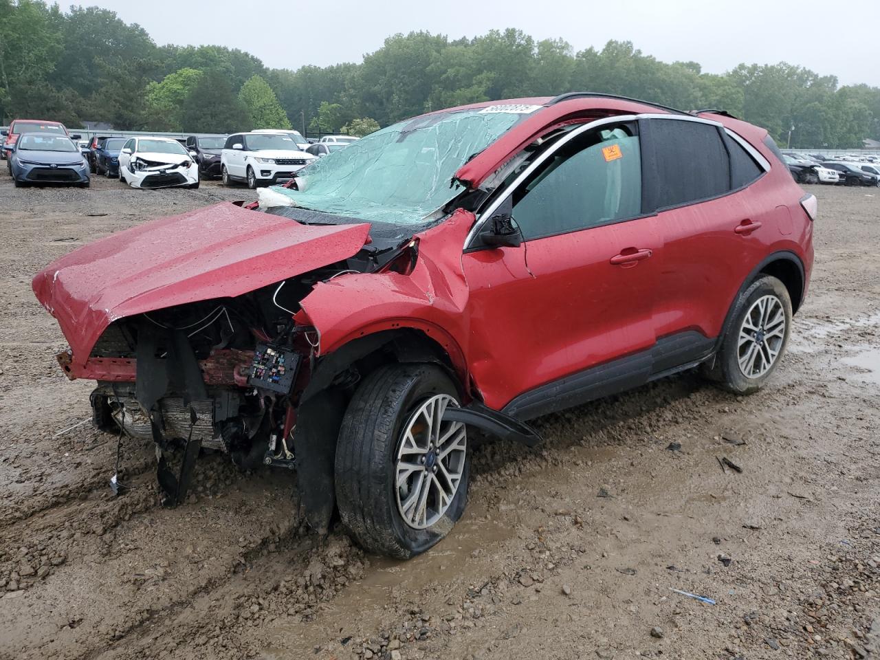 FORD ESCAPE SEL