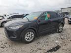 2024 FORD ESCAPE ACT - 1FMCU0GN0RUA00746