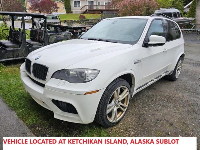 Vin: 5ymgy0c59alk25734, lot: 56727665, bmw x5 m 2010 img_1