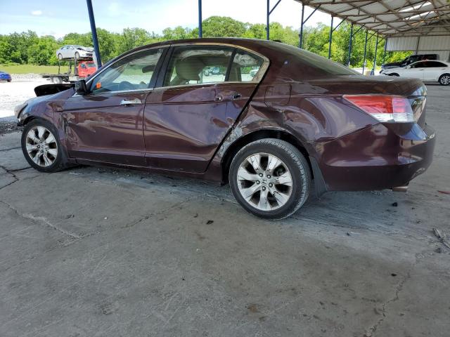 Vin: 5kbcp3f86ab018563, lot: 55921975, honda accord exl 20102