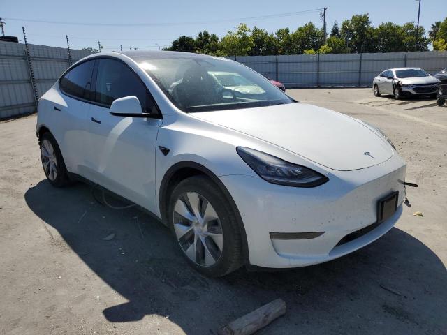 Vin: 5yjygdee6lf018602, lot: 56575635, tesla model y 20204