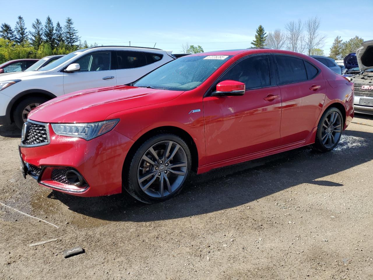 ACURA TLX ELITE
