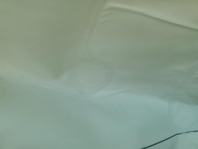 2024 TESLA MODEL 3 - 5YJ3E1EA9RF766538