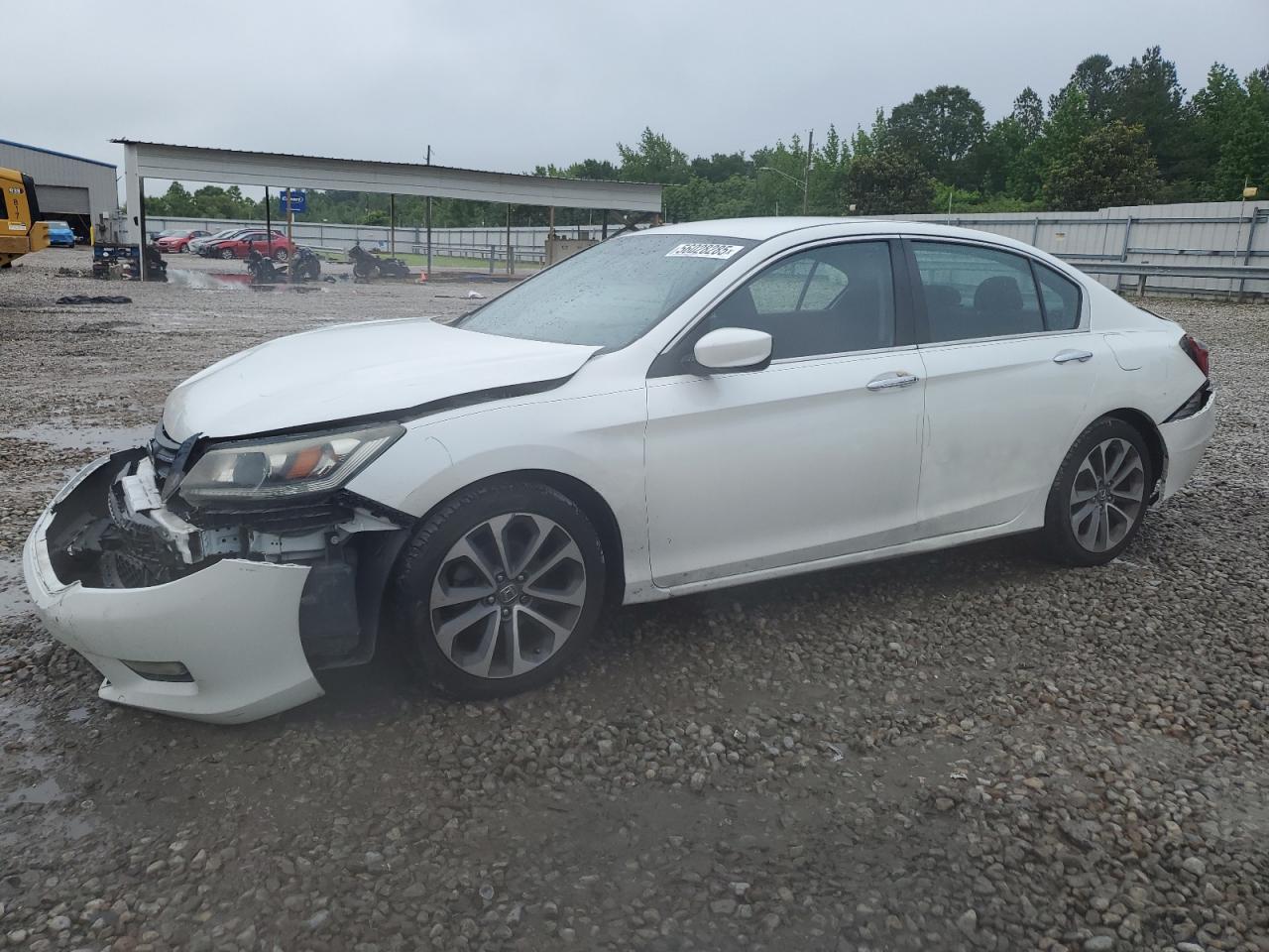 HONDA ACCORD SPORT